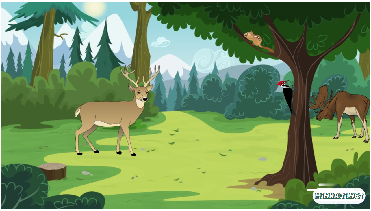 النظام البيئي النظام البيئي